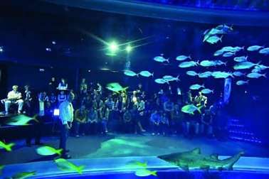 visite-aquarium-montpellier-chambres-hotes-herault