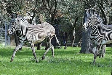 parc-zoologique-de-montpellier-maison-hotes-herault